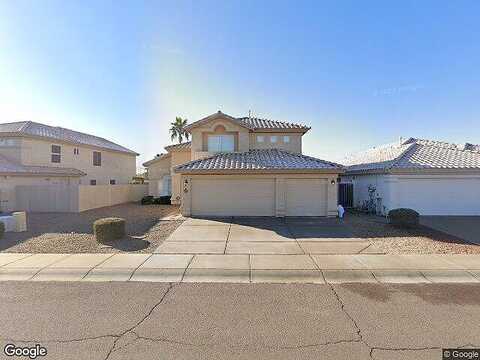 Gold Poppy, PHOENIX, AZ 85044