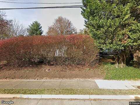 Chestnut, MIDDLEBURG, VA 20117