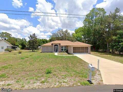 Dandelion, SPRING HILL, FL 34606