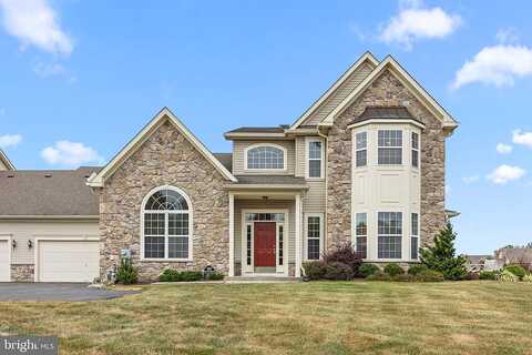Willow, NEWTOWN, PA 18940