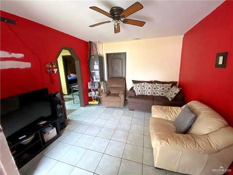 Sago Palm, PENITAS, TX 78576