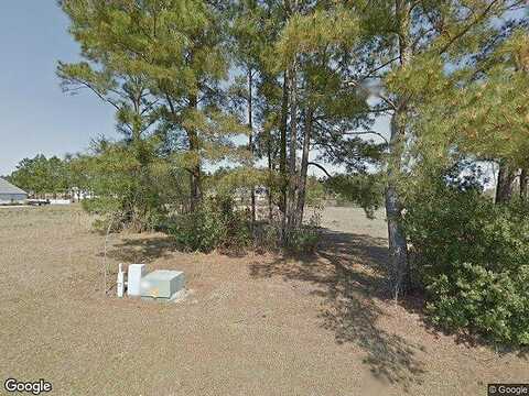 Bay, BROXTON, GA 31519