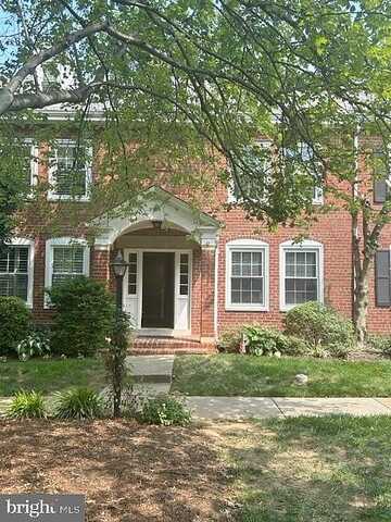 Stafford, ARLINGTON, VA 22206