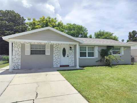 Dipaola, HUDSON, FL 34667