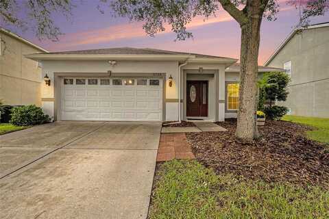 Sweet William, LAND O LAKES, FL 34639