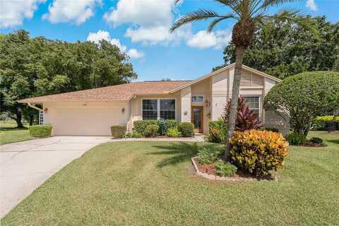 Hollowtree, TARPON SPRINGS, FL 34688