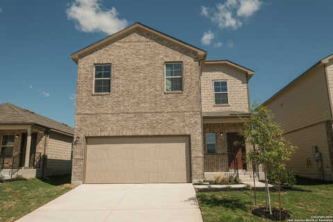 Winston, NEW BRAUNFELS, TX 78130