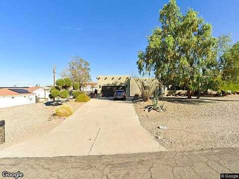 Bison, LAKE HAVASU CITY, AZ 86404