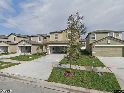Cat Mint, TAMPA, FL 33619