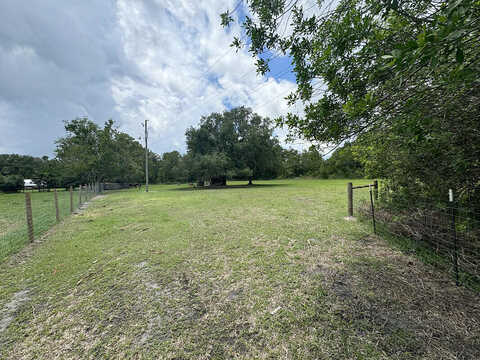 Aurantia, MIMS, FL 32754