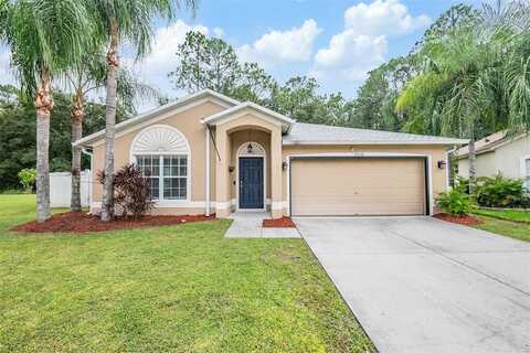 Meadow Reach, ZEPHYRHILLS, FL 33541