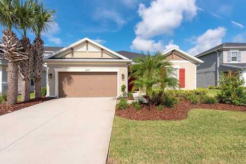 Astoria, WESLEY CHAPEL, FL 33545