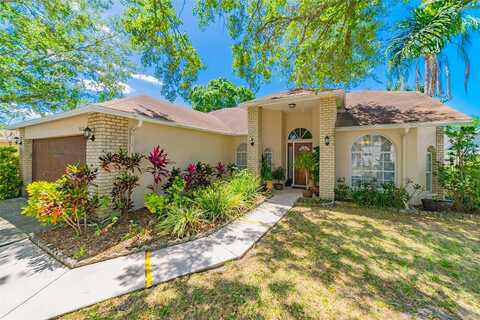 Sean, PALM HARBOR, FL 34684