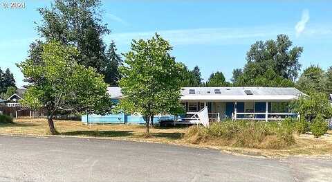 S 1St St, Ryderwood, WA 98581