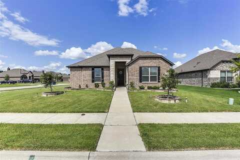 Lady Bird Drive, Waxahachie, TX 75165