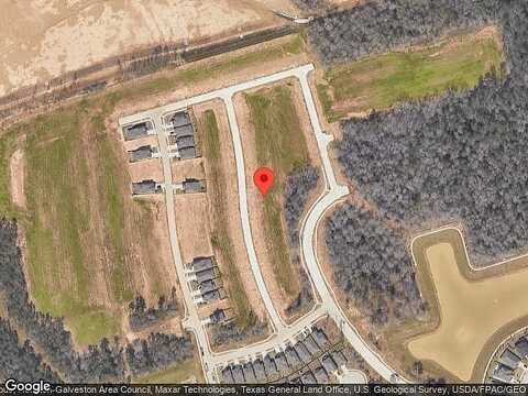 Scarlet Yaupon, CONROE, TX 77301