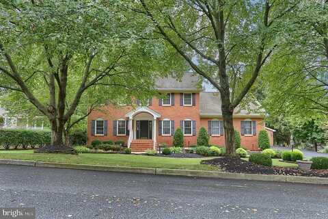 Bonnie Blue, MIDDLETOWN, PA 17057