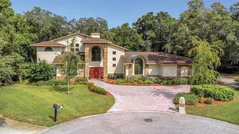 Sago, DUNEDIN, FL 34698