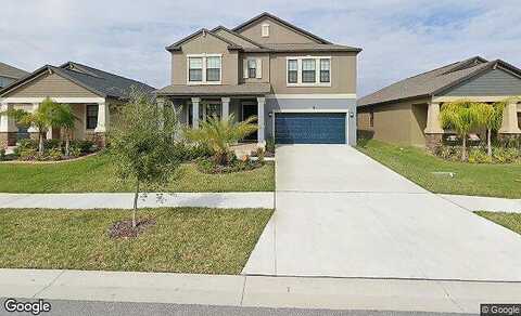 Little Blue Heron, RIVERVIEW, FL 33579