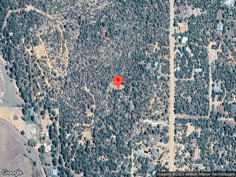 Pine Needle, SHOW LOW, AZ 85901