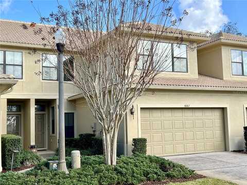 Silverback, PALM HARBOR, FL 34684