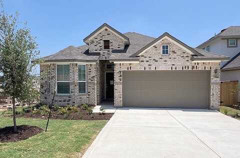Wingstem, GEORGETOWN, TX 78633