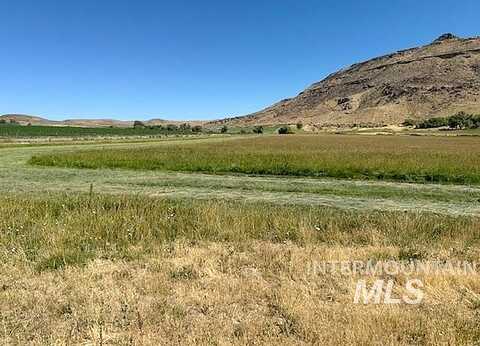 Rock Springs Canyon, NYSSA, OR 97913