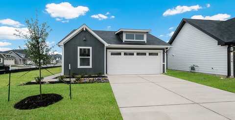 Sandringham, KYLE, TX 78640