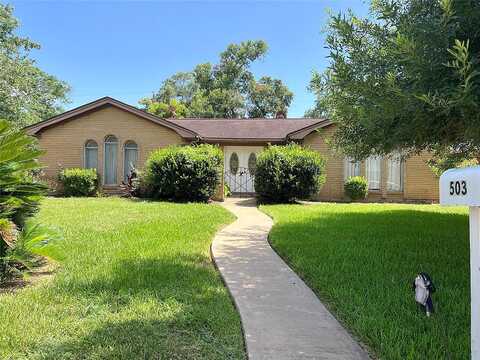 Yaupon, RICHWOOD, TX 77531