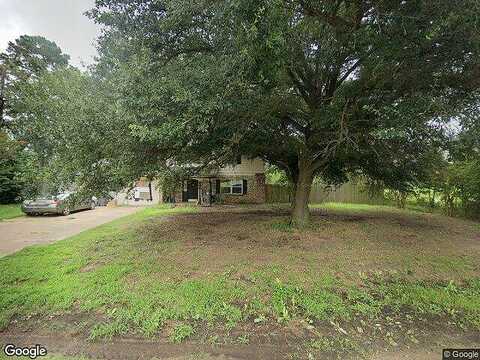 County Road 1203, DAINGERFIELD, TX 75638