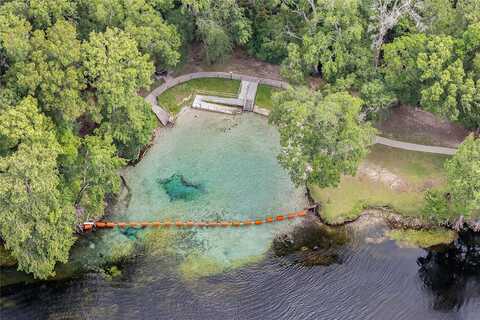 Rattlesnake, FORT WHITE, FL 32038