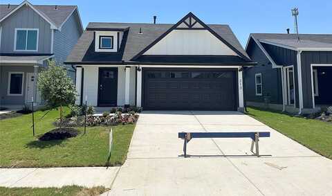 Sandringham, KYLE, TX 78640
