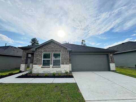 King Palm, MAGNOLIA, TX 77355