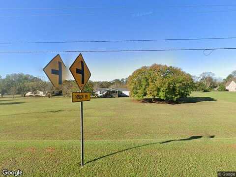Highway 341, Hawkinsville, GA 31036