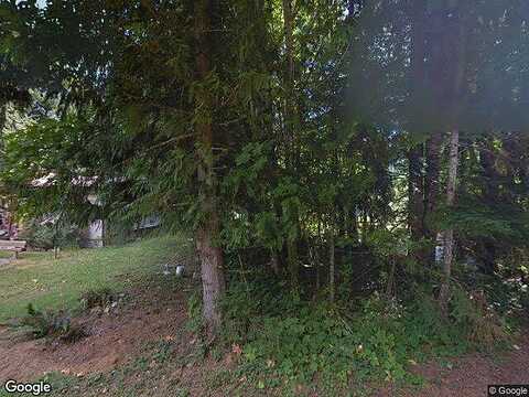 Heather Pl, Packwood, WA 98361