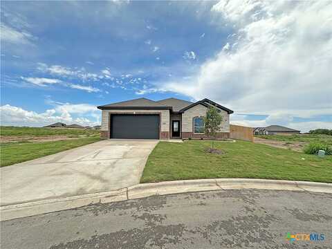 Horse Cane Court, Belton, TX 76513