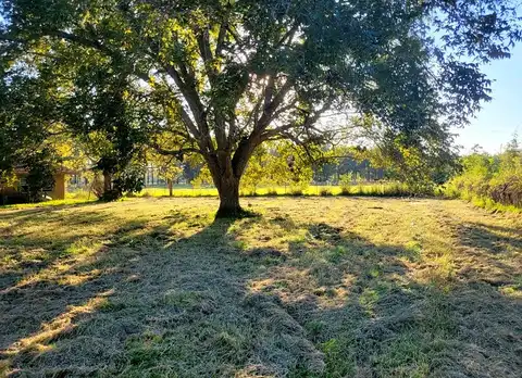 Old Sour Lake, BEAUMONT, TX 77713