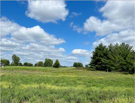 Palmer, LAKE ELMO, MN 55042