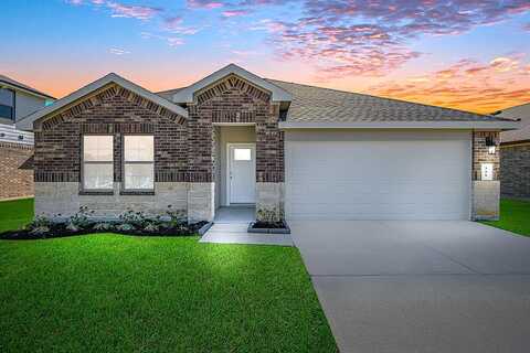 Fringed Bluestar Drive, Rosharon, TX 77583