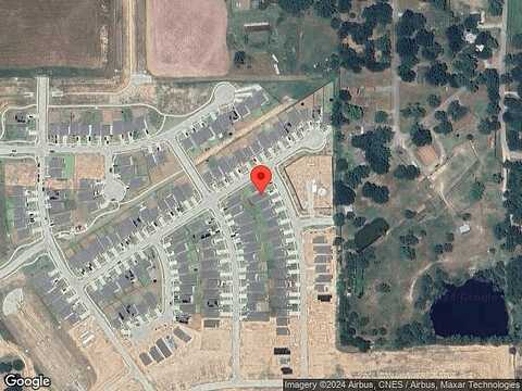 Chicory, MAGNOLIA, TX 77355