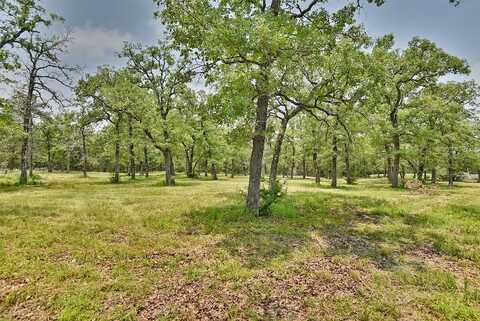 Wildwood, LEDBETTER, TX 78946