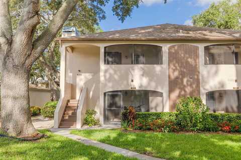 Bonaventure Circle, Palm Harbor, FL 34684