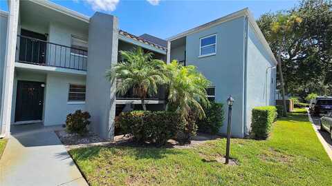 Somerset Park Drive, Tampa, FL 33613