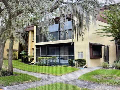 Mossy Glen Lane, Tampa, FL 33613