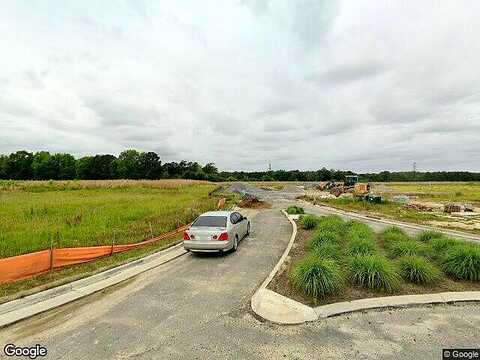 Egret Lane, Suffolk, VA 23434