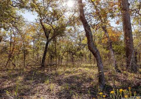 Vivroux Ranch, SEGUIN, TX 78155