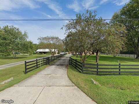 Celery, JACKSONVILLE, FL 32220