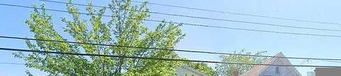 Cutler, SCHENECTADY, NY 12303