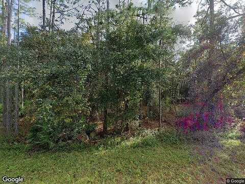 Chestnut, INTERLACHEN, FL 32148