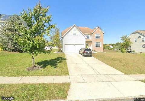 White Ash, SICKLERVILLE, NJ 08081